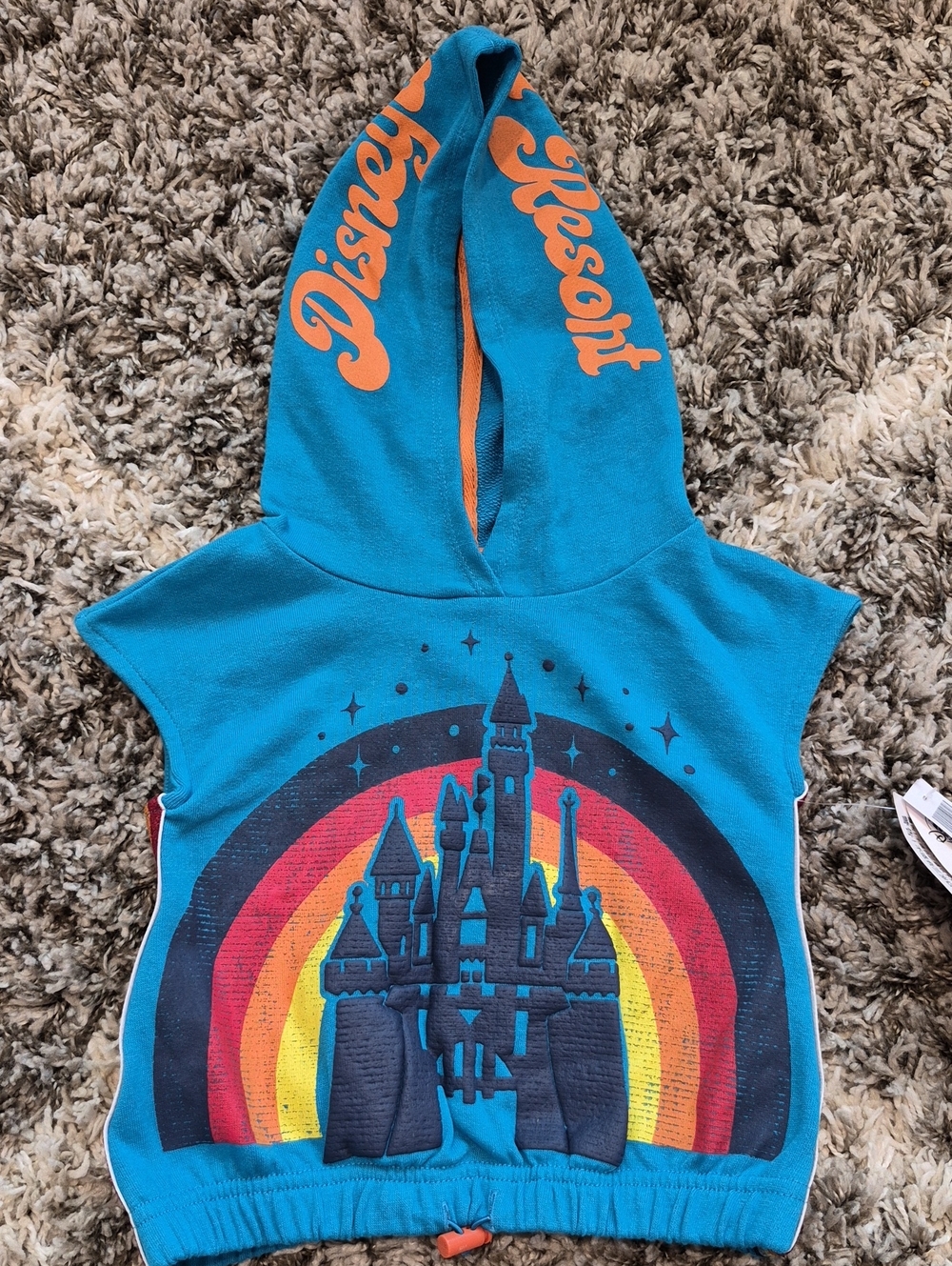 Disneyland Sleeveless Hooded Sweatshirt